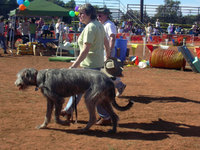 /images/events/6/DOGFEST 2007 024-large-thumb.jpg